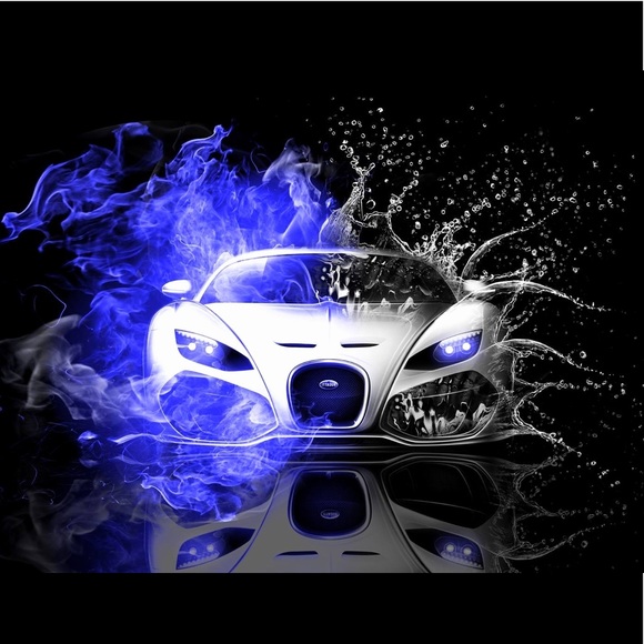 Meet your Posher, Jaxon - Picture 1 of 1